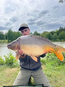 Mirror Carp
