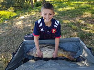 Common Carp