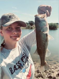 Largemouth Bass