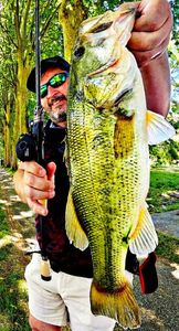 Largemouth Bass