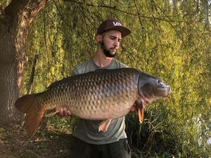 Common Carp