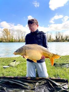 Mirror Carp