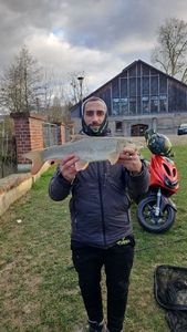 Barbel