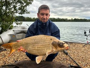 Common Carp