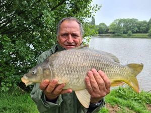 Common Carp