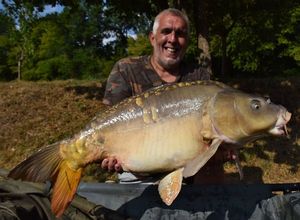 Mirror Carp