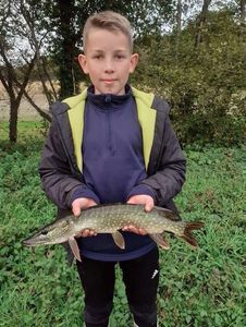 Northern Pike