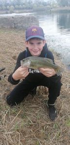 Largemouth Bass