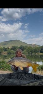 Mirror Carp