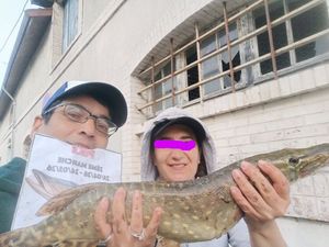 Poisson binome