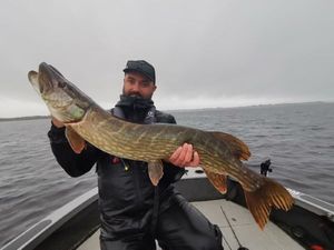 Northern Pike