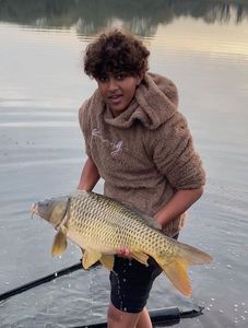 Common Carp