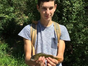 European Perch