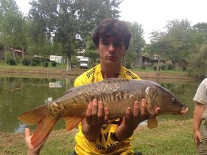 Mirror Carp