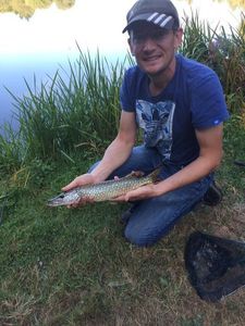 Northern Pike