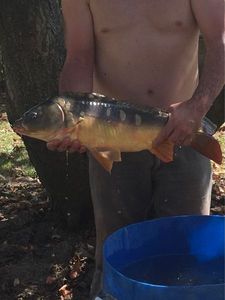 Leather Carp