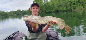 Northern Pike