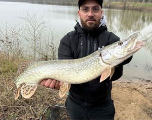 Northern Pike