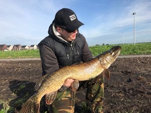 Northern Pike