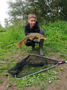 Barbel