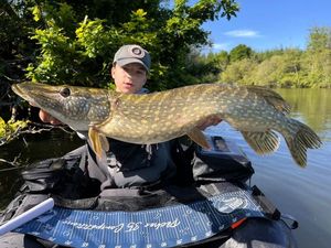 Northern Pike