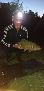 Tench