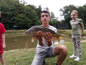 Mirror Carp