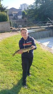 Northern Pike