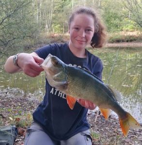 European Perch