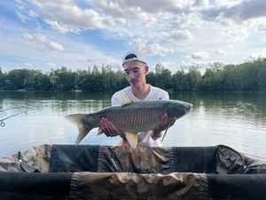 Grass Carp