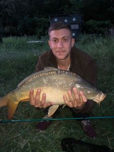 Mirror Carp