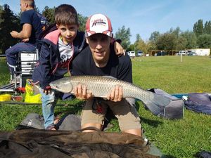 Grass Carp