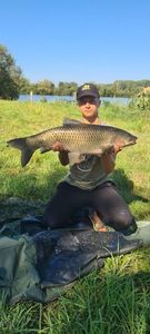 Grass Carp