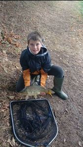Common Carp