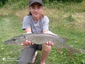 Northern Pike