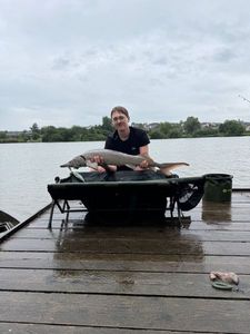 Sturgeon