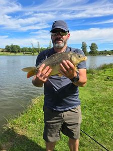 Mirror Carp