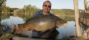Mirror Carp