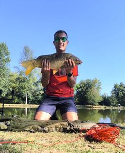 Mirror Carp