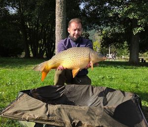Common Carp