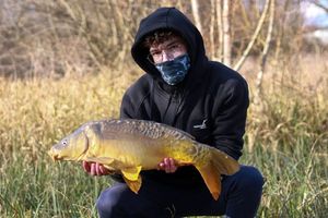 Mirror Carp
