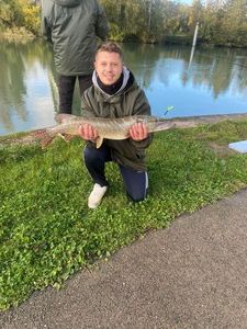 Northern Pike