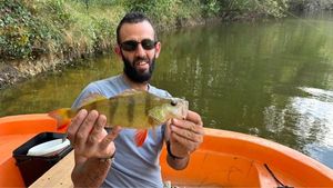 European Perch