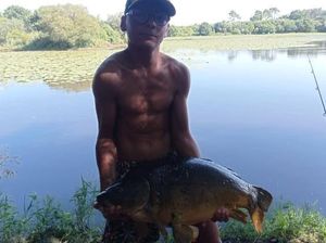 Mirror Carp