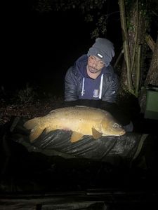Mirror Carp