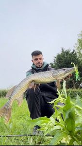 Northern Pike