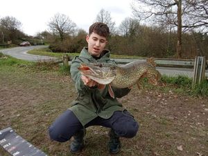 Northern Pike