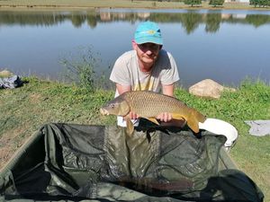 Common Carp