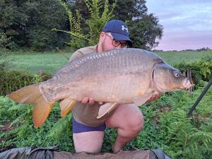 Mirror Carp