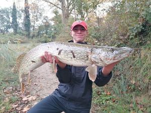 Northern Pike